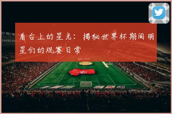 看台上的星光:揭秘世界杯期间明星们的观赛日常
