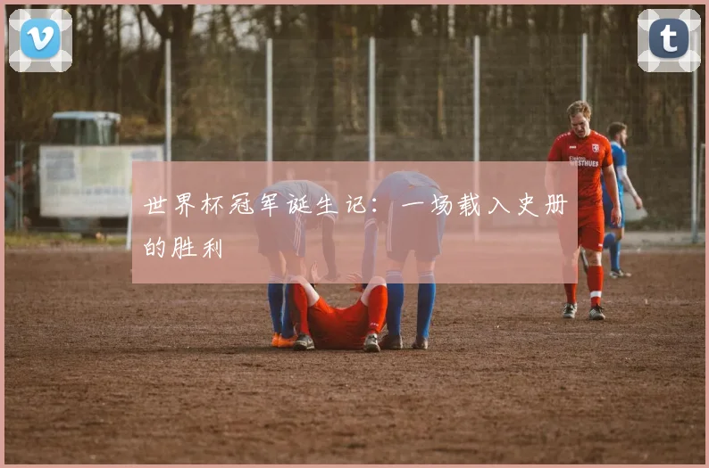 世界杯冠军诞生记:一场载入史册的胜利