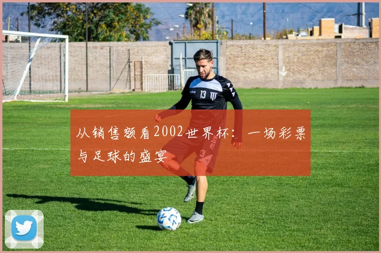 从销售额看2002世界杯：一场彩票与足球的盛宴