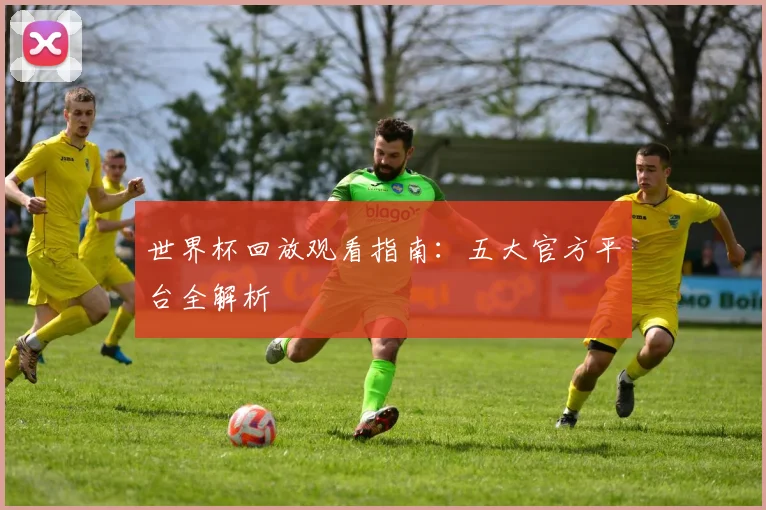 世界杯回放观看指南:五大官方平台全解析
