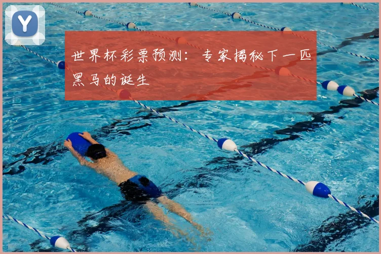 世界杯彩票预测:专家揭秘下一匹黑马的诞生