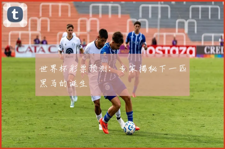 世界杯彩票预测:专家揭秘下一匹黑马的诞生