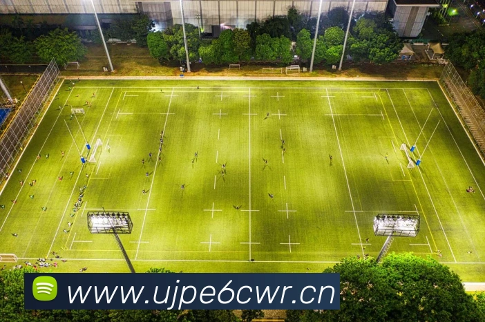 九游体育最新官网平台生态图