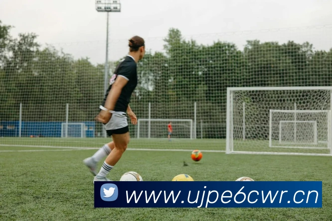 九游体育最新官网APP 封面图